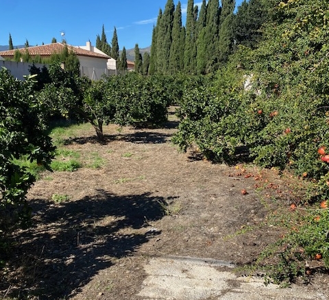 Terreno con proyecto